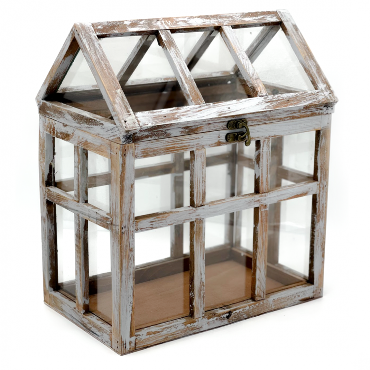 Terrarium Card Box