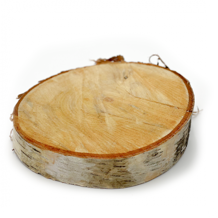 Large Round Wood Slab, Birch