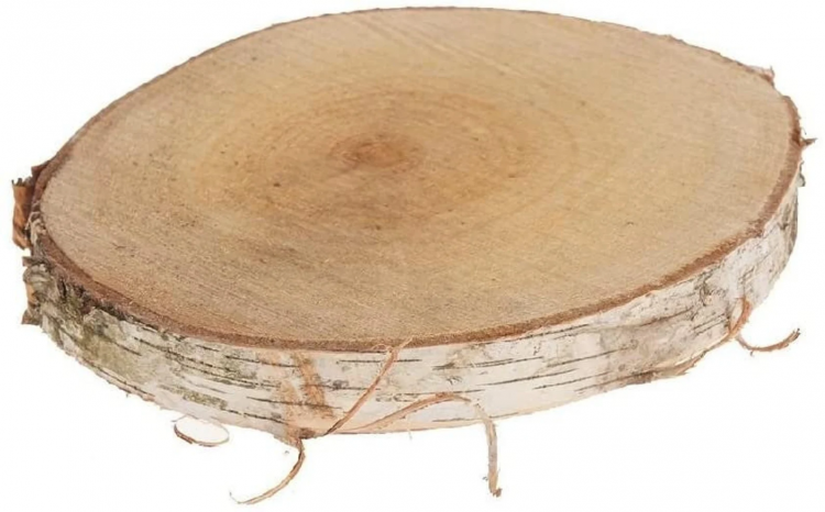 Small Round Wood Slab, Birch