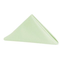 Green, Sage Polyester Napkin