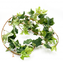 6' Ivy Garland