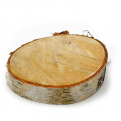 Large Wood Slab, Birch