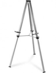 Silver Easel, Large