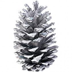 Silver Pinecone