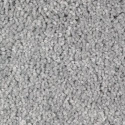Grey Carpet