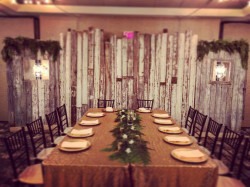 Whitewash Barn Wood Backdrop