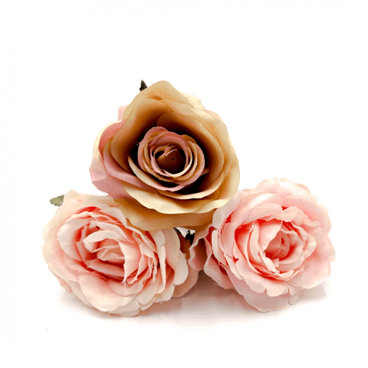 Blush Flowers