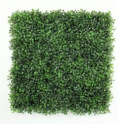Boxwood Greenery Panel