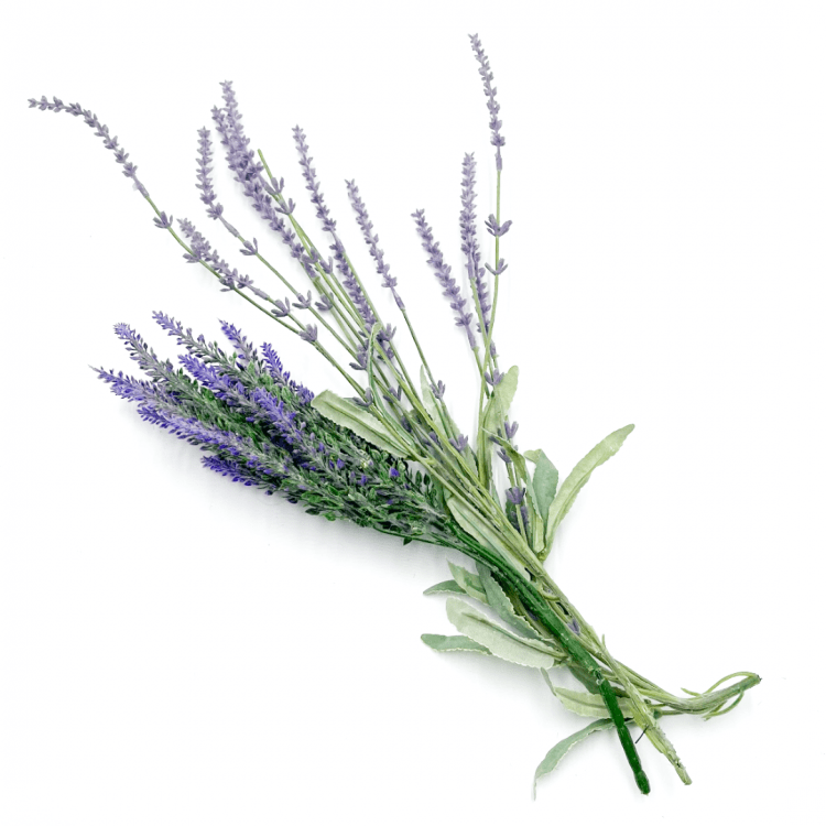 *Lavender