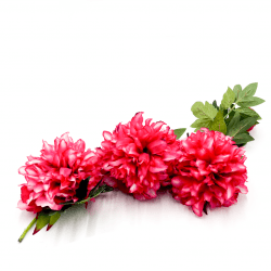 *Large Pink Blooms