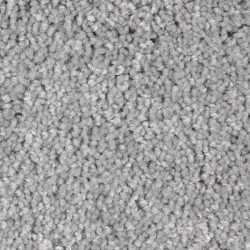 Grey Carpet