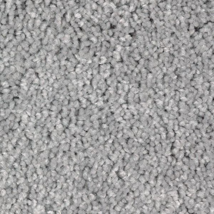 Grey Carpet