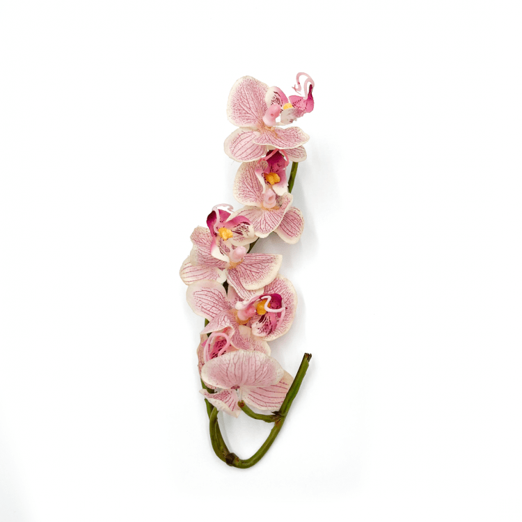 *Light Pink Orchids