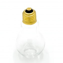 *Lightbulb Vase