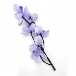 *Light Purple Orchids