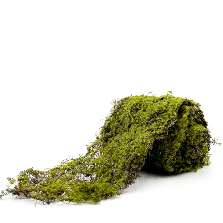*Moss, Roll