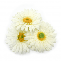 *White Gerberas