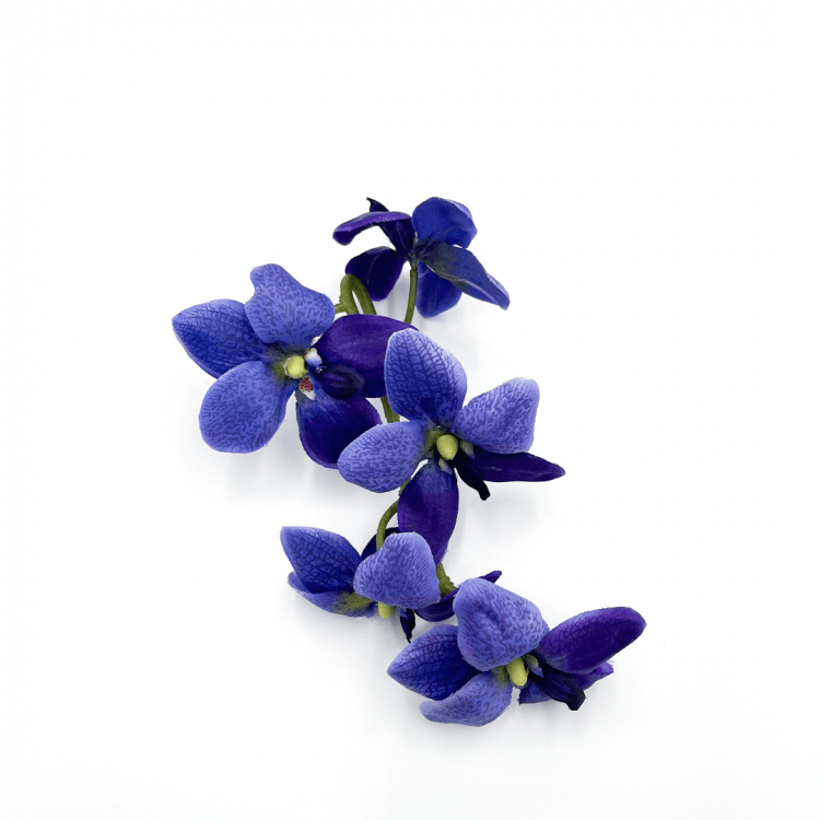 *Violet Orchids