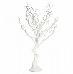 White Manzanita Tree, Small