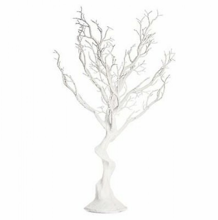 White Manzanita Tree, Small