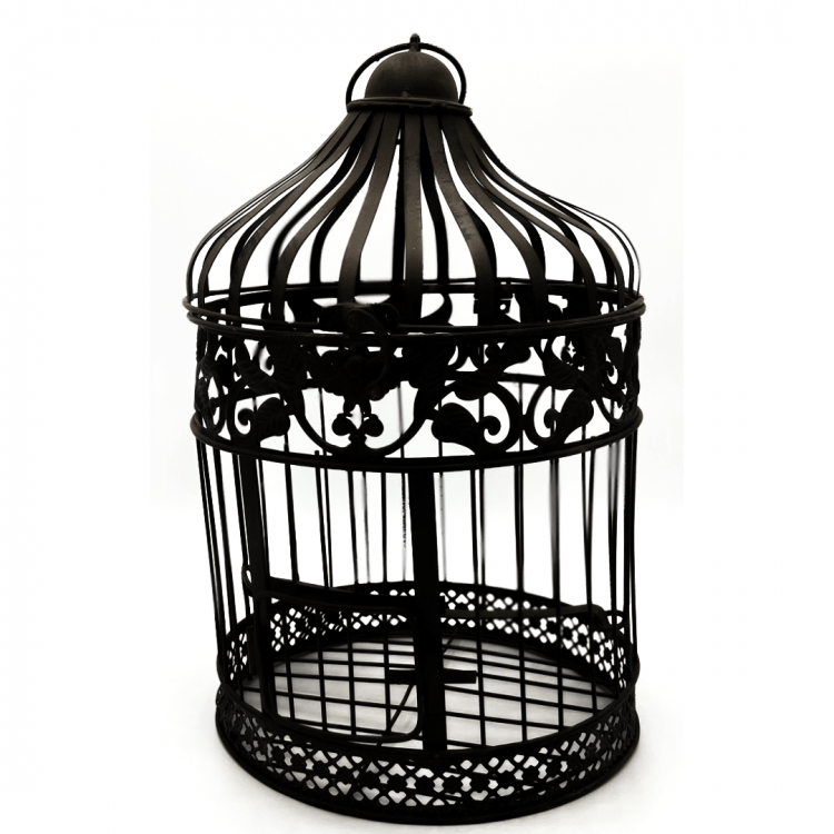 Black Birdcage, Large